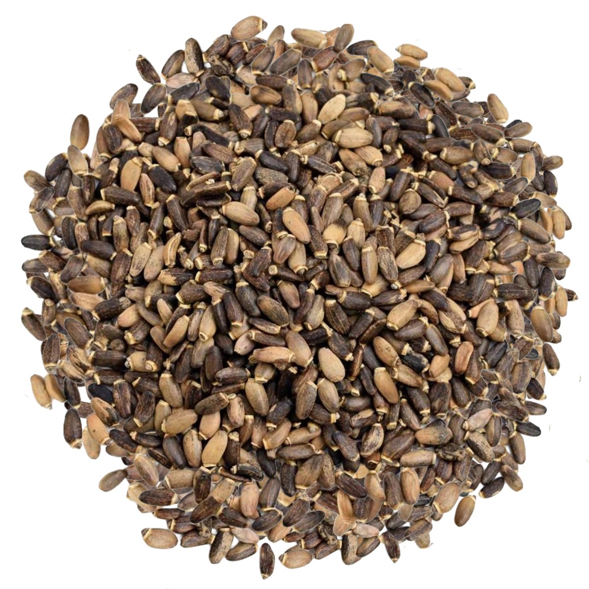 Ostropest plamisty ziarno - suplement diety